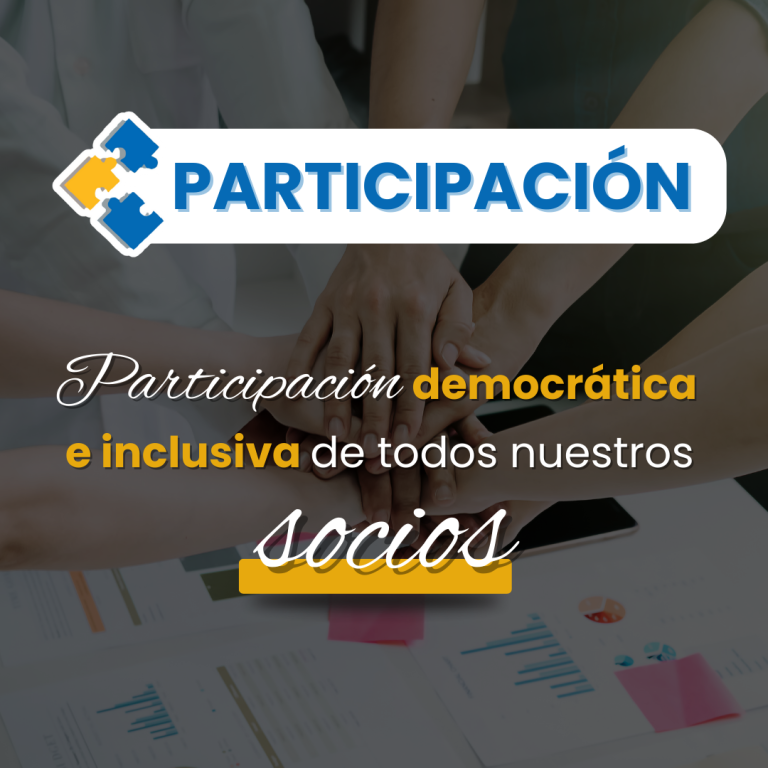 Participación